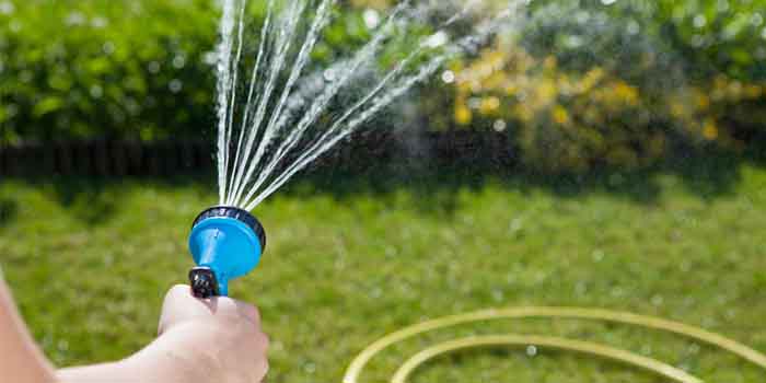 Watering the Lawn water conservation