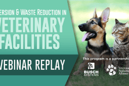 Webinar Recap: Diversion & Waste Reduction in Veterinary Facilities