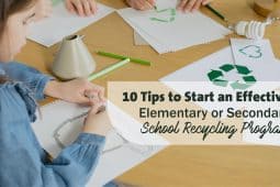 10 Tips to Starting an Effective Elementary or Secondary School Recycling Program