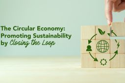 The Circular Economy: Promoting Sustainability by Closing the Loop 