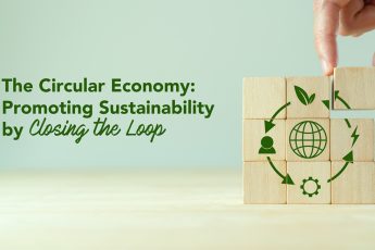 The Circular Economy