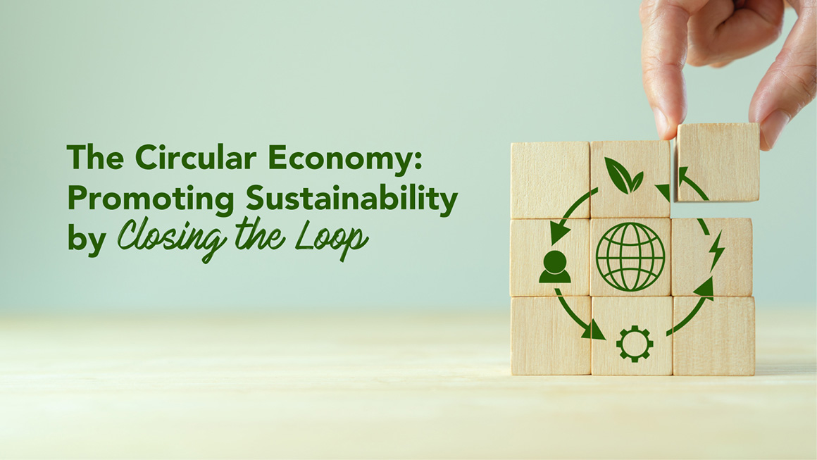 The Circular Economy