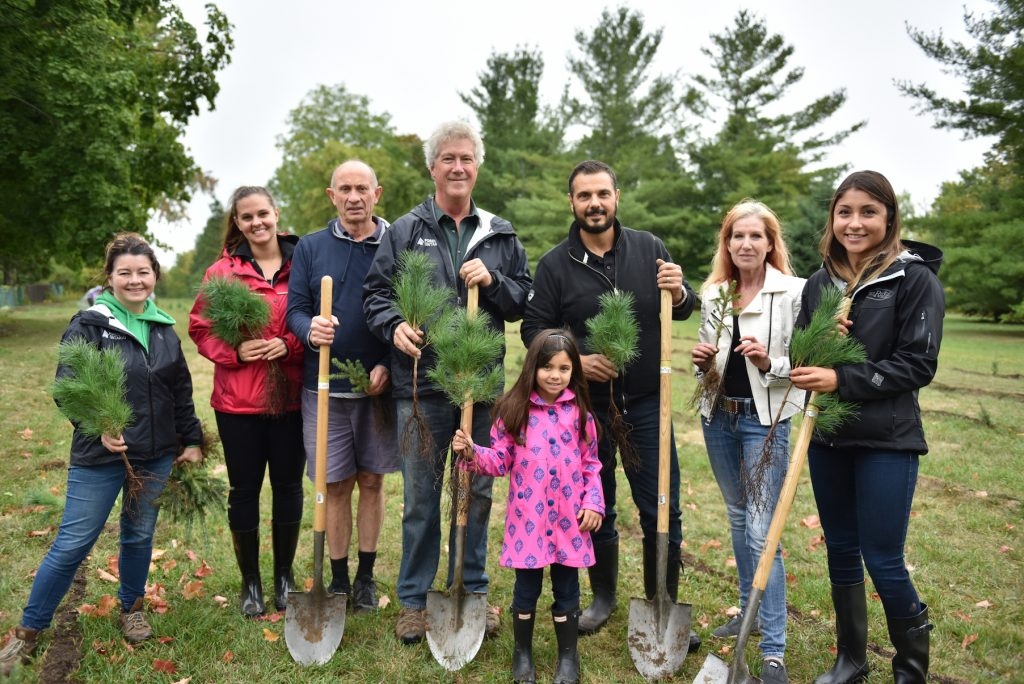 Forest Recovery Canada